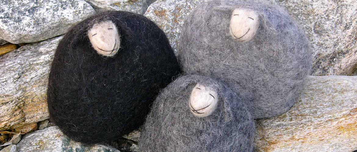 Light and dark sheeps